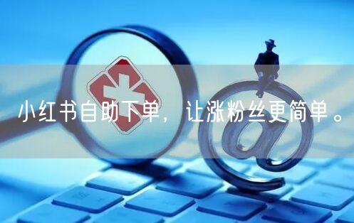 小红书自助下单，让涨粉丝更简单。