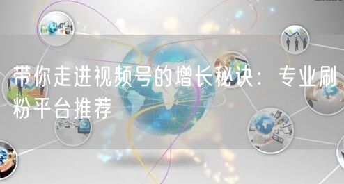 带你走进视频号的增长秘诀：专业刷粉平台推荐