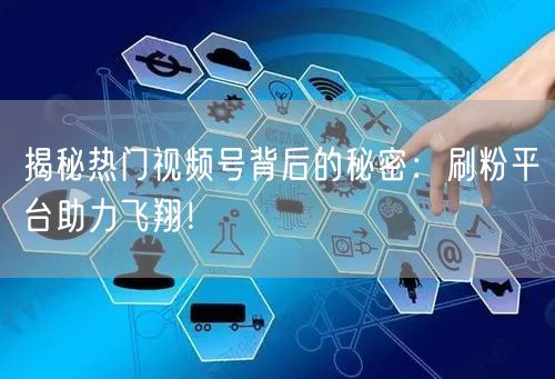 揭秘热门视频号背后的秘密：刷粉平台助力飞翔！