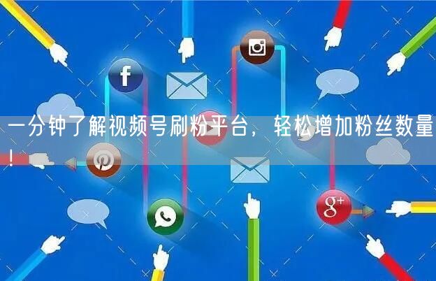 一分钟了解视频号刷粉平台，轻松增加粉丝数量！