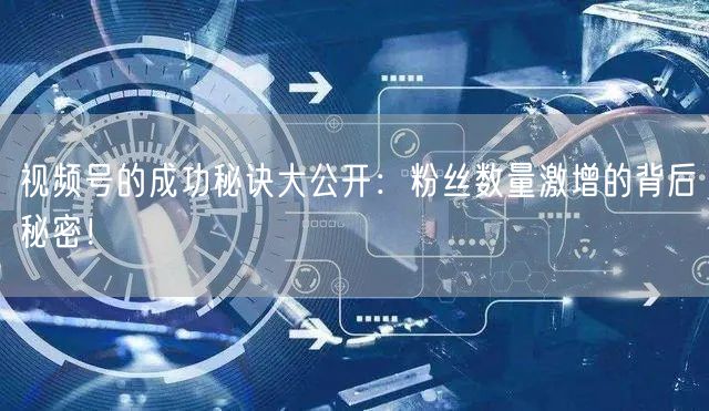 视频号的成功秘诀大公开：粉丝数量激增的背后秘密！