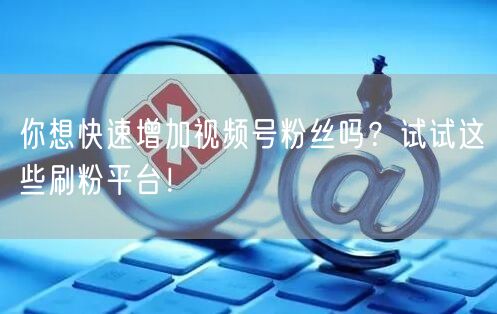你想快速增加视频号粉丝吗？试试这些刷粉平台！