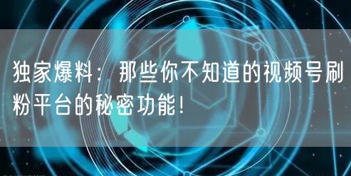 独家爆料：那些你不知道的视频号刷粉平台的秘密功能！