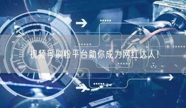 视频号刷粉平台助你成为网红达人！