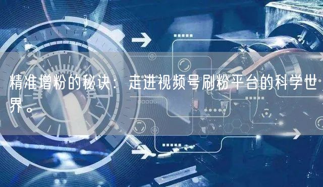精准增粉的秘诀：走进视频号刷粉平台的科学世界。