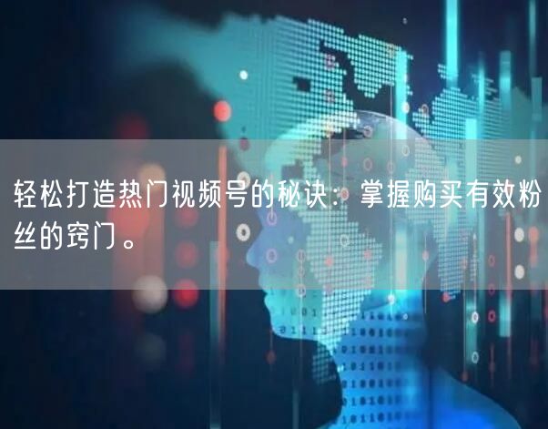 轻松打造热门视频号的秘诀：掌握购买有效粉丝的窍门。