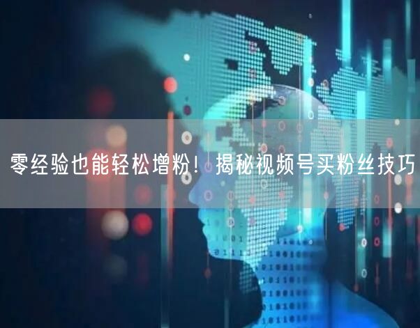 零经验也能轻松增粉！揭秘视频号买粉丝技巧