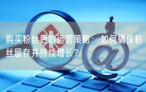 购买粉丝后的运营策略：如何确保粉丝留存并持续增长？
