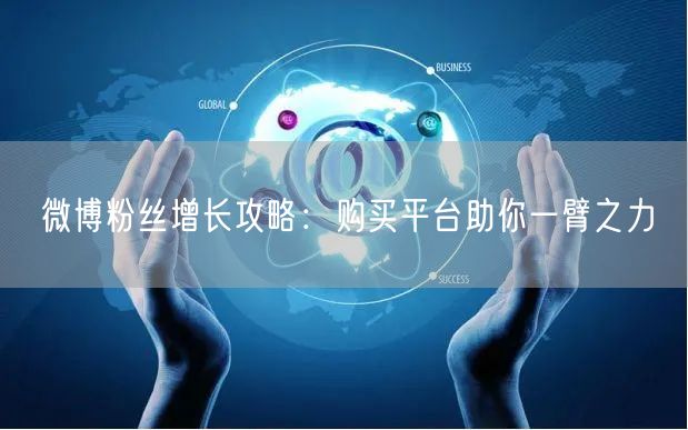 微博粉丝增长攻略：购买平台助你一臂之力