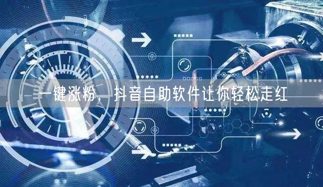 一键涨粉，抖音自助软件让你轻松走红