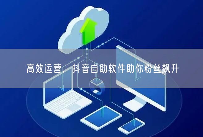 高效运营，抖音自助软件助你粉丝飙升