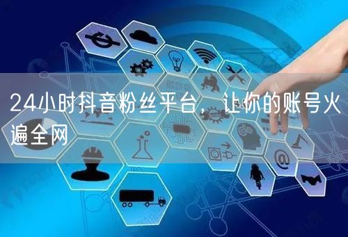 24小时抖音粉丝平台，让你的账号火遍全网