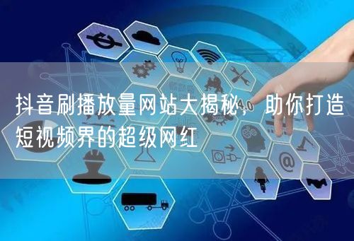 抖音刷播放量网站大揭秘，助你打造短视频界的超级网红