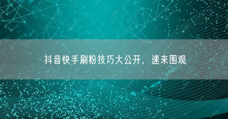 抖音快手刷粉技巧大公开，速来围观