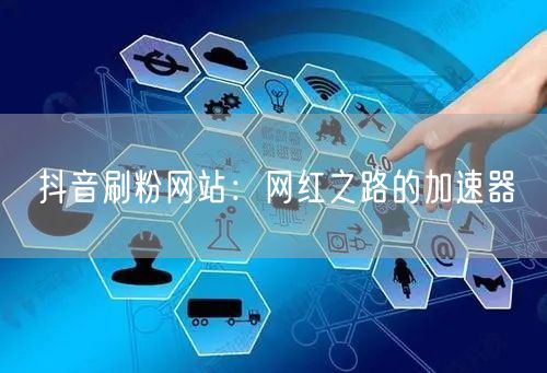 抖音刷粉网站：网红之路的加速器