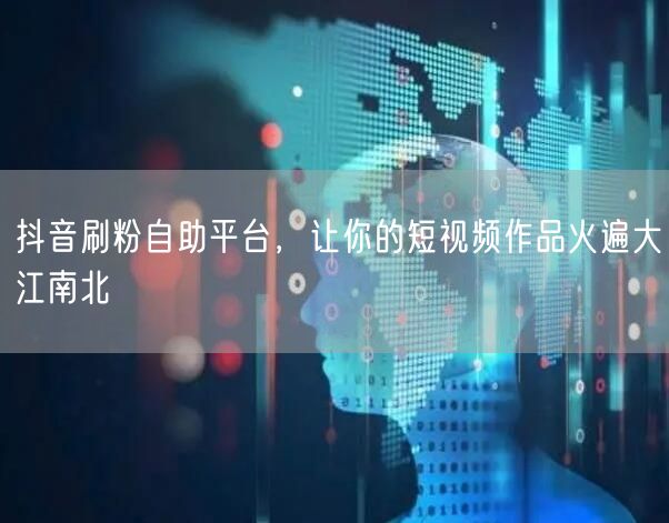 抖音刷粉自助平台，让你的短视频作品火遍大江南北