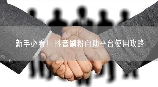 新手必看！抖音刷粉自助平台使用攻略