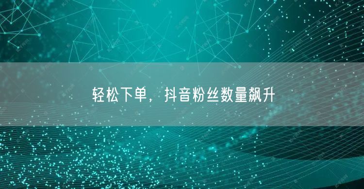 轻松下单，抖音粉丝数量飙升