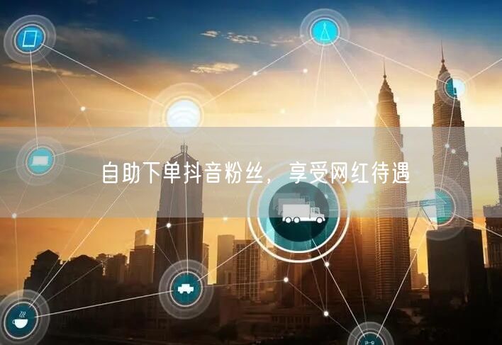 自助下单抖音粉丝，享受网红待遇