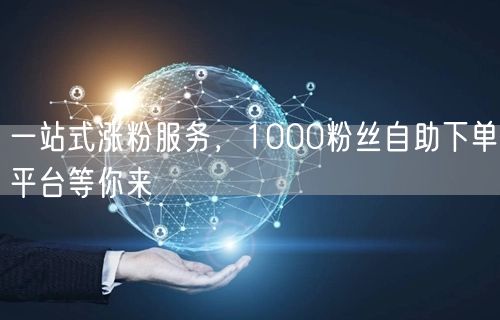 一站式涨粉服务，1000粉丝自助下单平台等你来