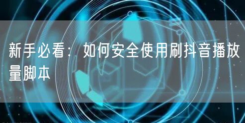 新手必看：如何安全使用刷抖音播放量脚本