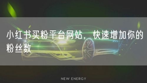 小红书买粉平台网站，快速增加你的粉丝数