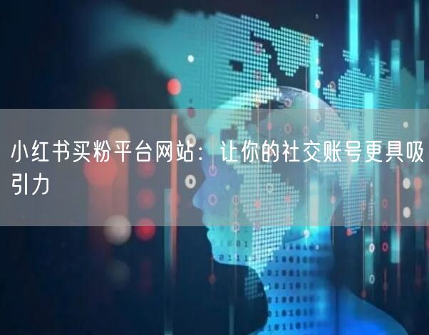 小红书买粉平台网站：让你的社交账号更具吸引力
