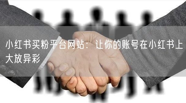 小红书买粉平台网站：让你的账号在小红书上大放异彩