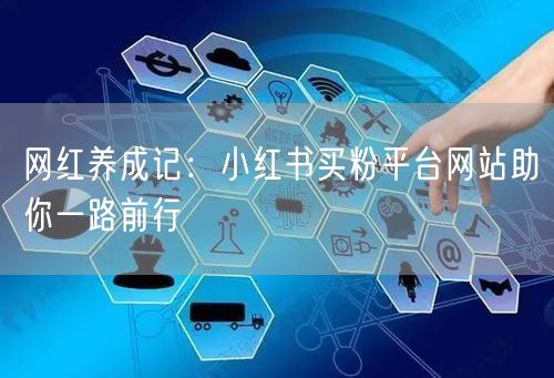 网红养成记：小红书买粉平台网站助你一路前行