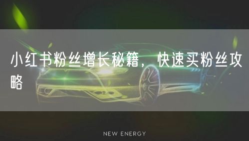 小红书粉丝增长秘籍，快速买粉丝攻略