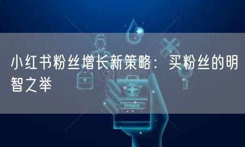 小红书粉丝增长新策略：买粉丝的明智之举