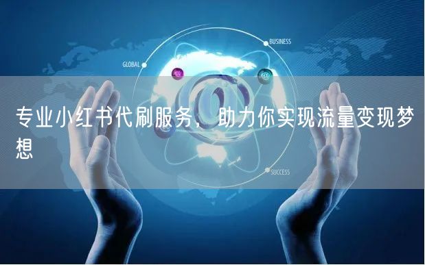 专业小红书代刷服务，助力你实现流量变现梦想