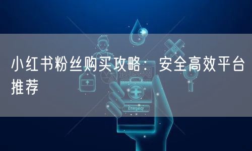 小红书粉丝购买攻略：安全高效平台推荐