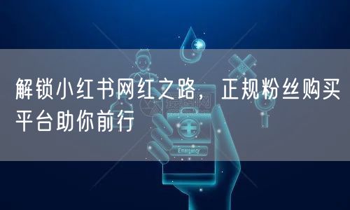 解锁小红书网红之路，正规粉丝购买平台助你前行
