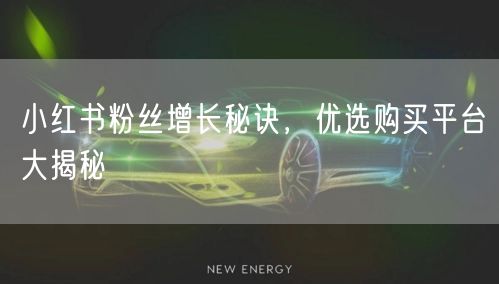 小红书粉丝增长秘诀，优选购买平台大揭秘