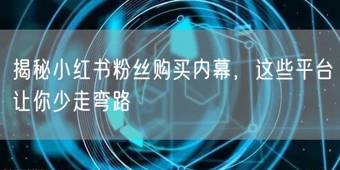 揭秘小红书粉丝购买内幕，这些平台让你少走弯路