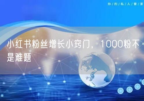 小红书粉丝增长小窍门，1000粉不是难题