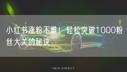 小红书涨粉不难！轻松突破1000粉丝大关的秘诀