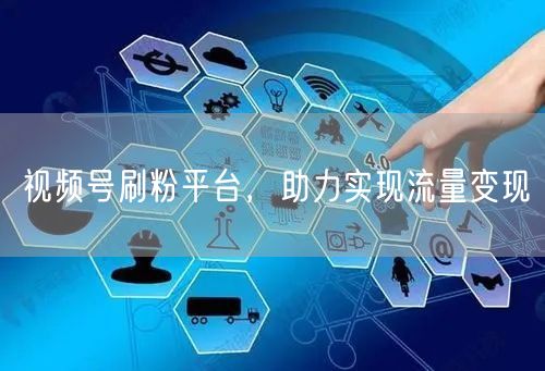 视频号刷粉平台，助力实现流量变现
