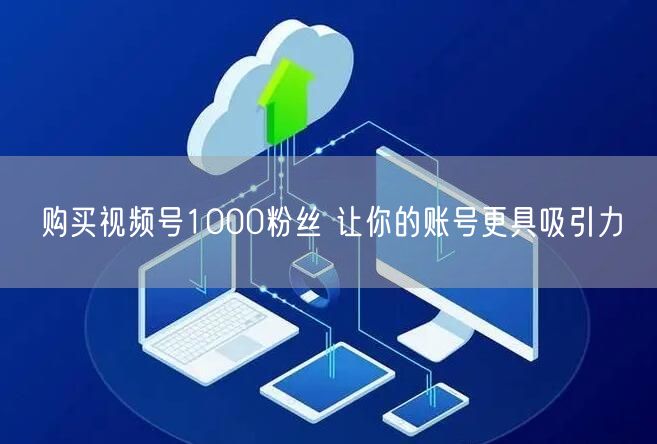 购买视频号1000粉丝 让你的账号更具吸引力
