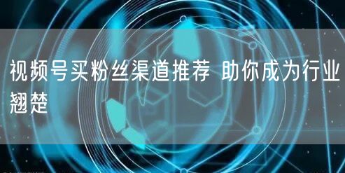 视频号买粉丝渠道推荐 助你成为行业翘楚